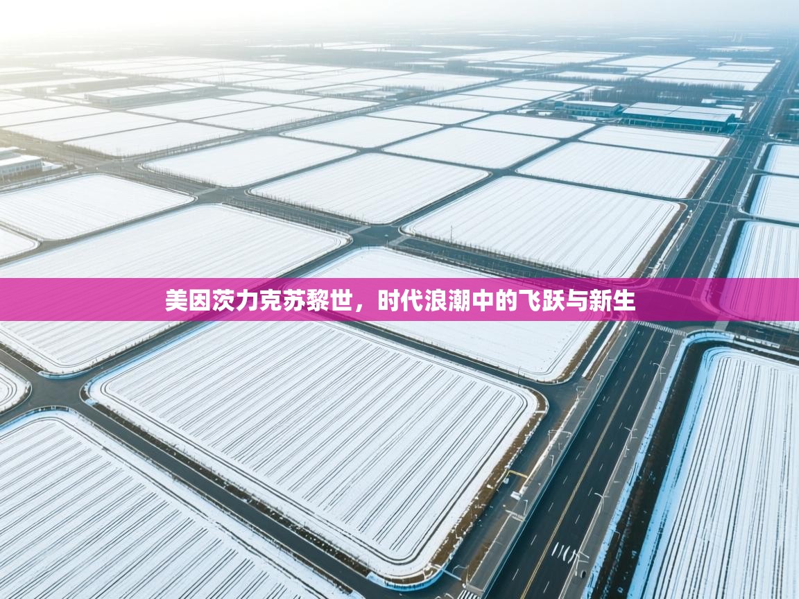 美因茨力克苏黎世,时代浪潮中的飞跃与新生 第2张